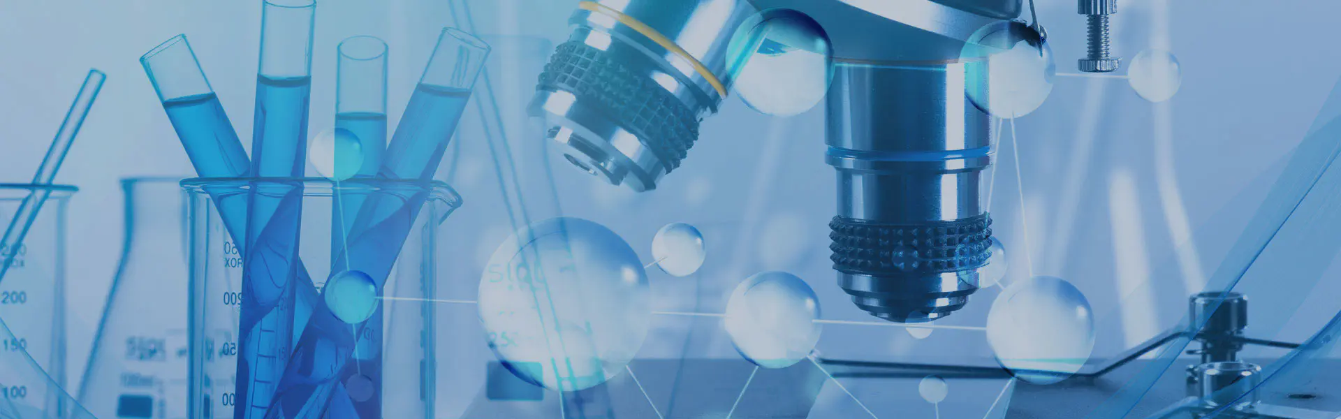 మమ్మల్ని సంప్రదించండి